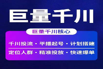 百度竞价代理技巧：经典成功案例解析